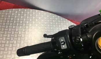 2024 Kawasaki ZX4RR full