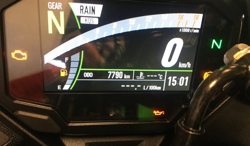 2024 Kawasaki ZX4RR full