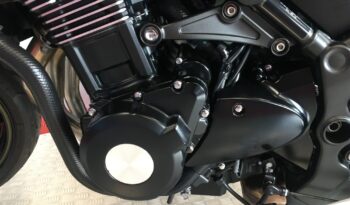 2018 Kawasaki Z900RS full