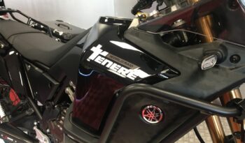 2022 Yamaha Tenere700 World Raid full