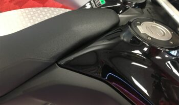 2022 Yamaha Tenere700 World Raid full