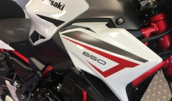 2022 Kawasaki Z650 full