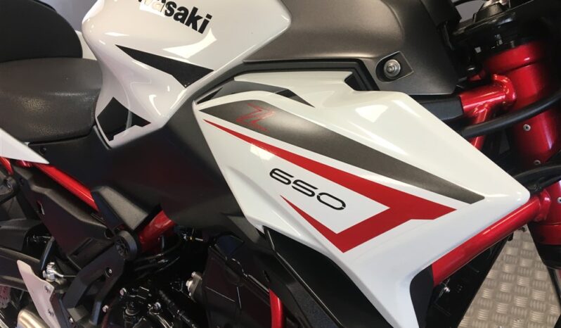 2022 Kawasaki Z650 full