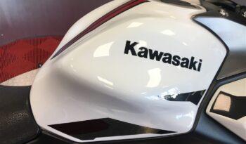 2022 Kawasaki Z650 full
