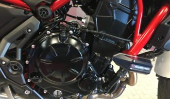2022 Kawasaki Z650 full