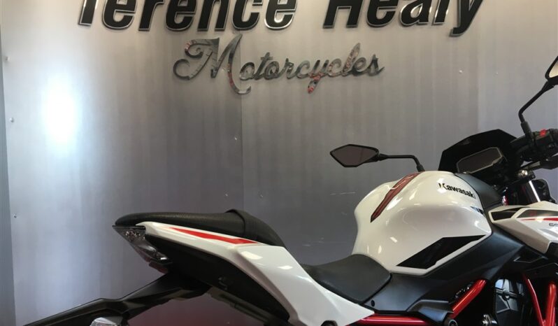 2022 Kawasaki Z650 full