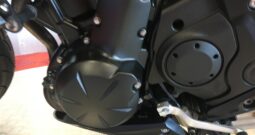 2016 Kawasaki ER6N