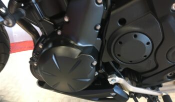 2016 Kawasaki ER6N full