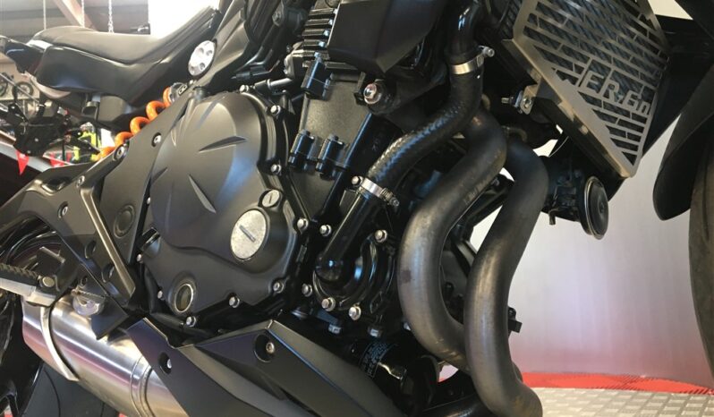 2016 Kawasaki ER6N full