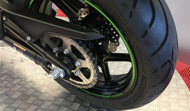 2017 Kawasaki ER6F full
