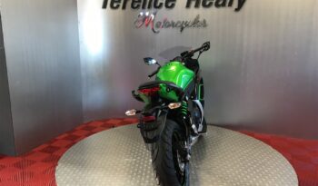 2017 Kawasaki ER6F full
