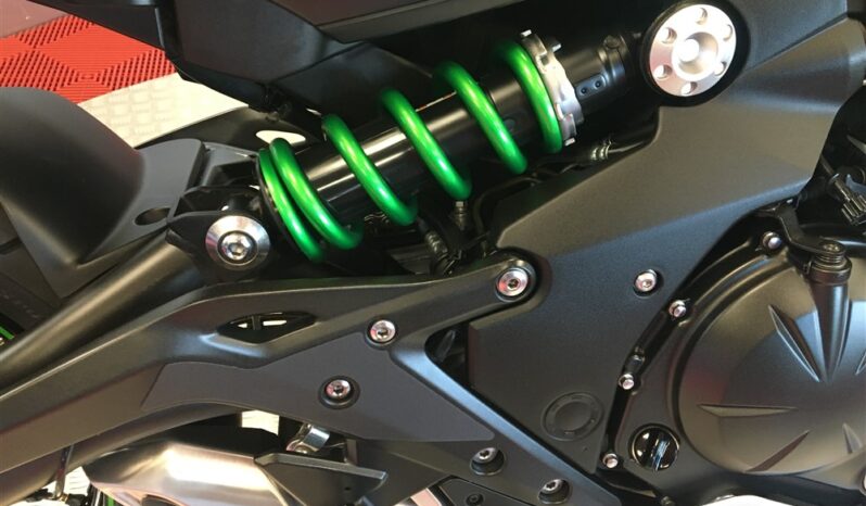 2017 Kawasaki ER6F full