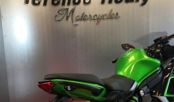 2017 Kawasaki ER6F full