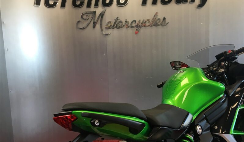 2017 Kawasaki ER6F full
