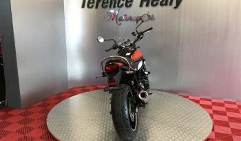 2019 Kawasaki Z900RS full