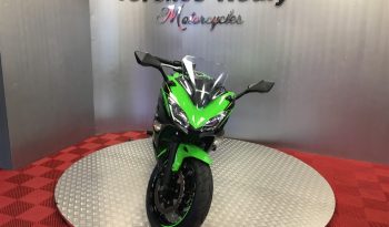2019 Kawasaki Ninja 650 full