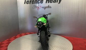 2019 Kawasaki Ninja 650 full