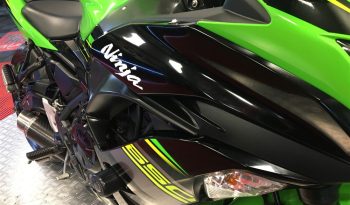 2019 Kawasaki Ninja 650 full