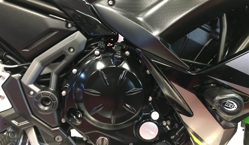 2019 Kawasaki Ninja 650 full