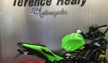 2019 Kawasaki Ninja 650 full