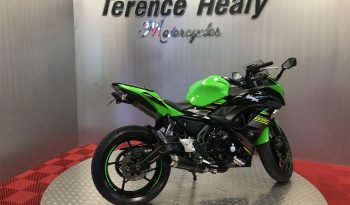2019 Kawasaki Ninja 650 full
