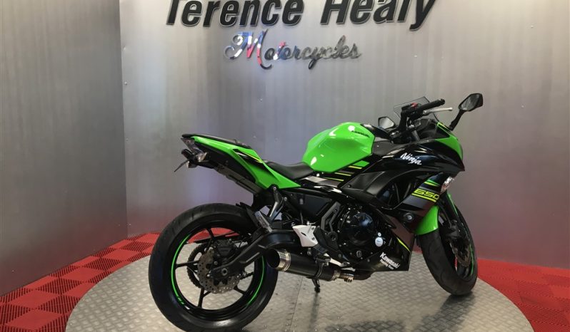 2019 Kawasaki Ninja 650 full