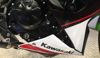 2022 Kawasaki NINJA 650 full
