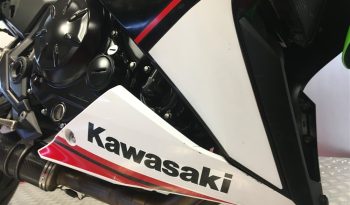 2022 Kawasaki NINJA 650 full