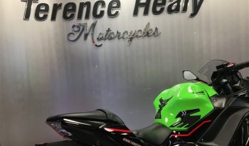 2022 Kawasaki NINJA 650 full