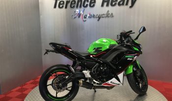 2022 Kawasaki NINJA 650 full