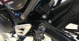 2024 Triumph Speed 400