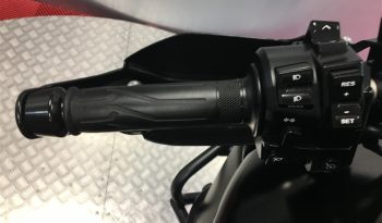 2019 Yamaha Super Tenere 1200 full