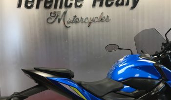 2021 Suzuki GSXS 750 full