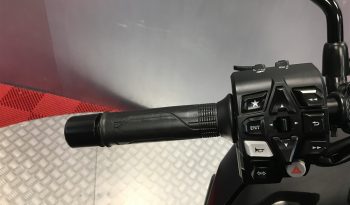 2024 Honda NT1100 full