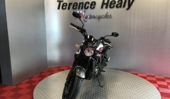 2019 Yamaha XSR 700 full