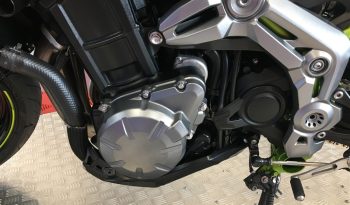 2019 Kawasaki Z900 full
