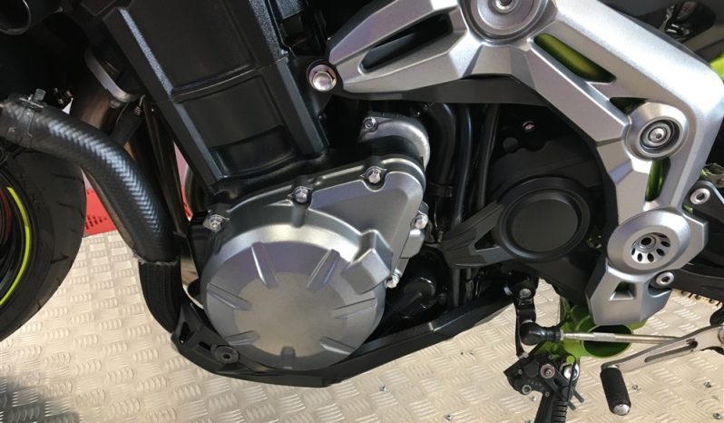 2019 Kawasaki Z900 full