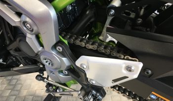 2019 Kawasaki Z900 full