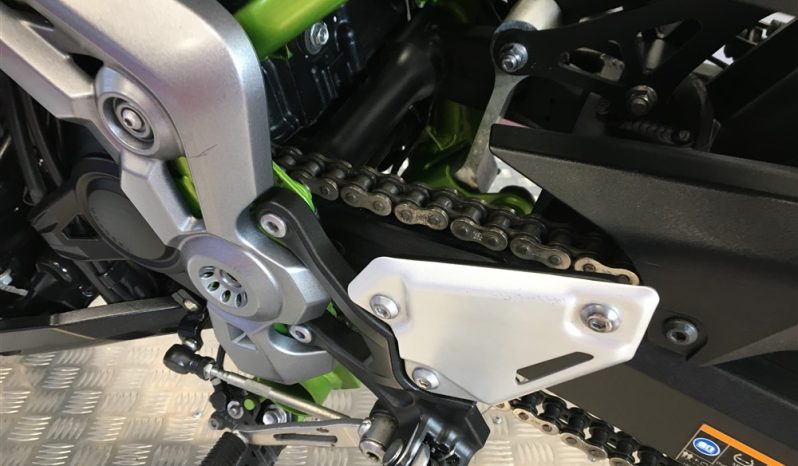 2019 Kawasaki Z900 full