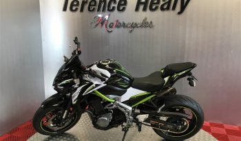 2019 Kawasaki Z900 full