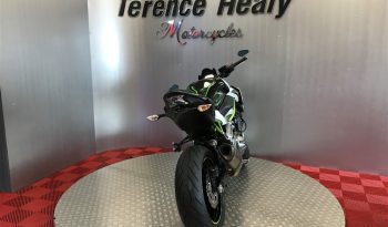 2019 Kawasaki Z900 full