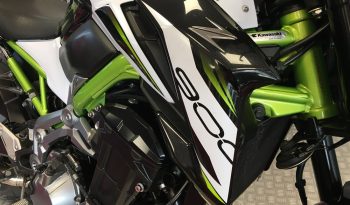 2019 Kawasaki Z900 full