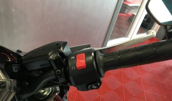2019 Kawasaki Z900 full