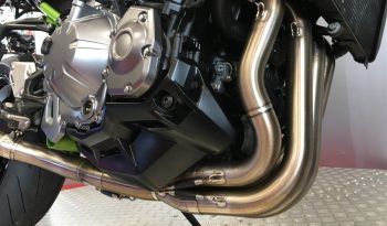 2019 Kawasaki Z900 full