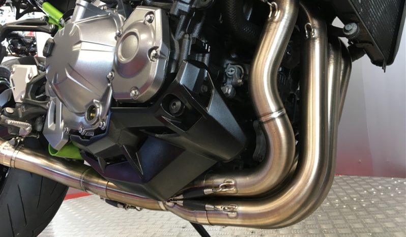 2019 Kawasaki Z900 full