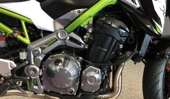 2019 Kawasaki Z900 full