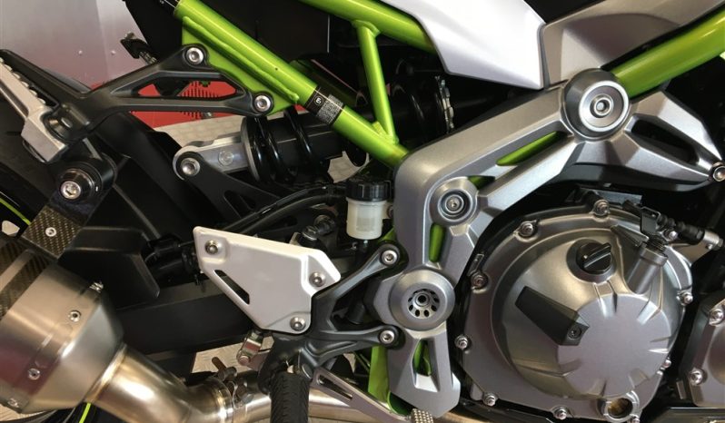 2019 Kawasaki Z900 full