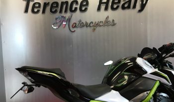 2019 Kawasaki Z900 full