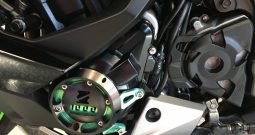 2021 Kawasaki Ninja 1000SX