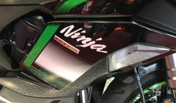 2021 Kawasaki Ninja 1000SX full